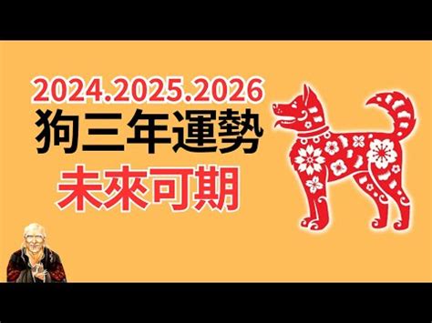 1982屬狗十年運勢|82年狗40岁后十年大运运程 82年属狗人40岁后的运势